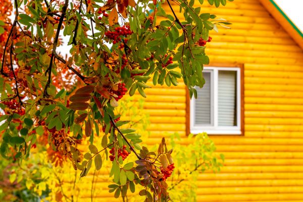Garden Window Replacement in Cary